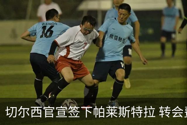 切尔西官宣签下帕莱斯特拉 转会费超5500万欧签约7年