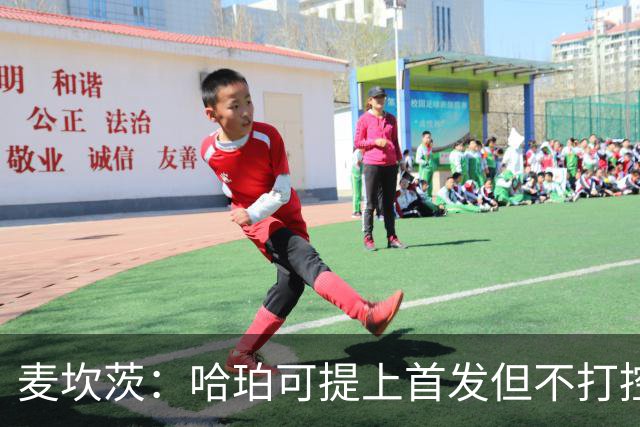 麦坎茨：哈珀可提上首发但不打控卫 建议马刺留福克斯打五小